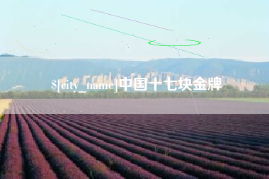 招远中国十七块金牌