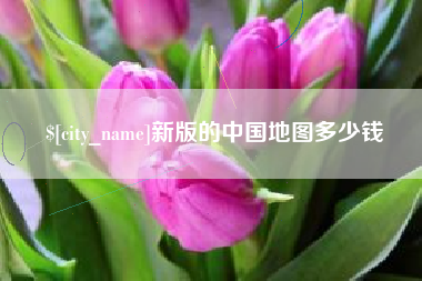 招远新版的中国地图多少钱