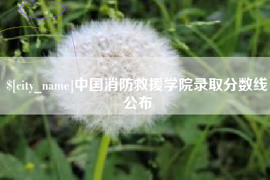 招远中国消防救援学院录取分数线公布