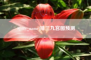 招远排三九宫图预测