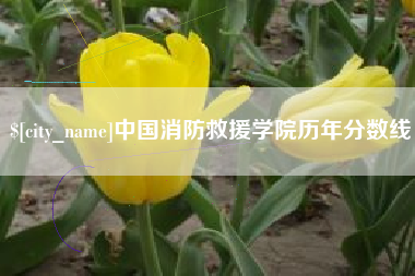 招远中国消防救援学院历年分数线