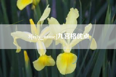 招远九宫格优点