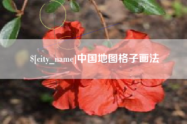 招远中国地图格子画法