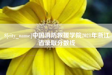 招远中国消防救援学院2021年浙江省录取分数线