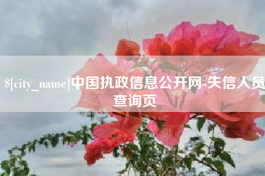 招远中国执政信息公开网-失信人员查询页