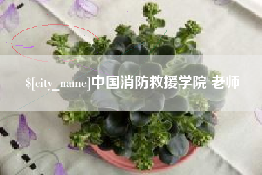 招远中国消防救援学院 老师