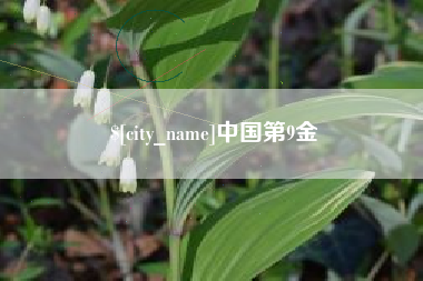 招远中国第9金