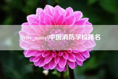 招远中国消防学校排名