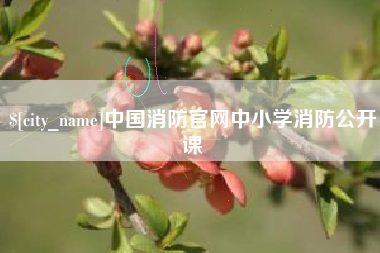 招远中国消防官网中小学消防公开课