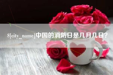 招远中国的消防日是几月几日？