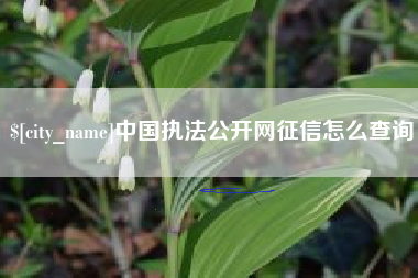 招远中国执法公开网征信怎么查询