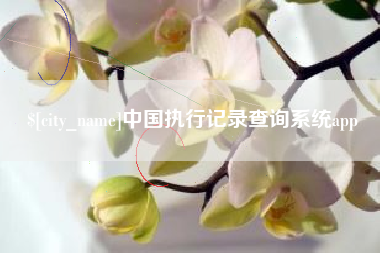 招远中国执行记录查询系统app