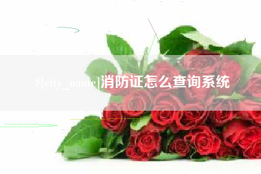 招远消防证怎么查询系统