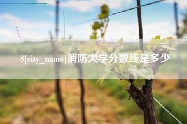 招远消防大学分数线是多少