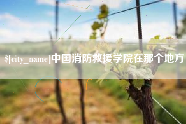 招远中国消防救援学院在那个地方
