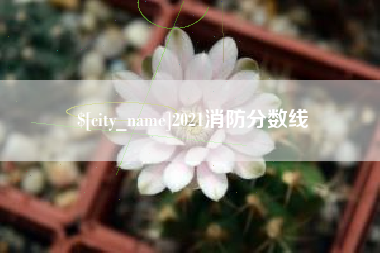 招远2021消防分数线