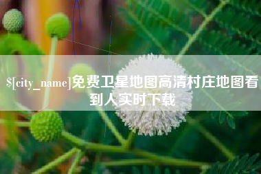 招远免费卫星地图高清村庄地图看到人实时下载