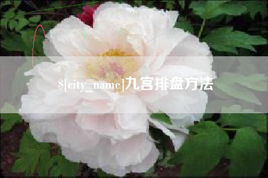 招远九宫排盘方法