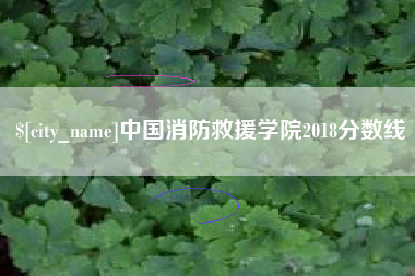 招远中国消防救援学院2018分数线