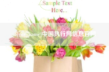 招远中国执行网信息官网