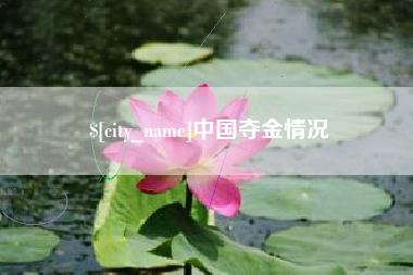 招远中国夺金情况