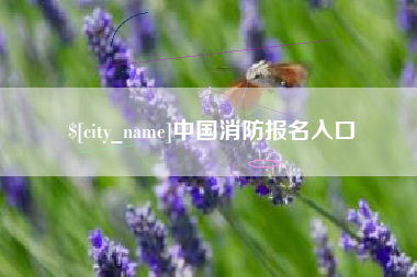 招远中国消防报名入口