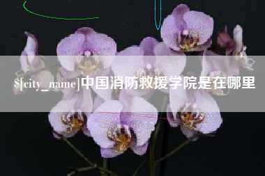 招远中国消防救援学院是在哪里