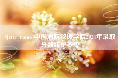 招远中国消防救援学院2024年录取分数线是多少