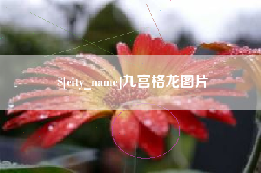 招远九宫格龙图片