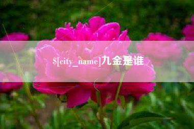 招远九金是谁