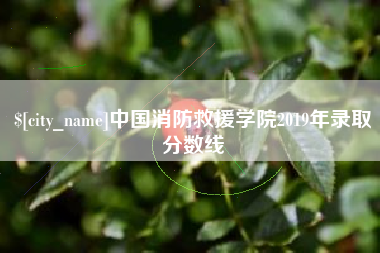 招远中国消防救援学院2019年录取分数线
