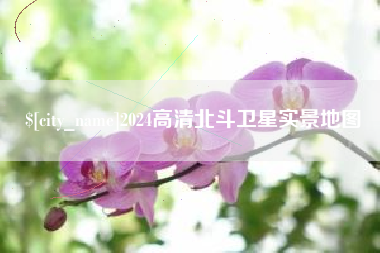 招远2024高清北斗卫星实景地图