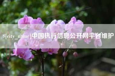 招远中国执行信息公开网平台维护