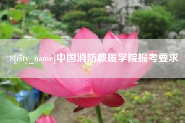 招远中国消防救援学院报考要求
