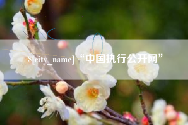 招远“中国执行公开网”