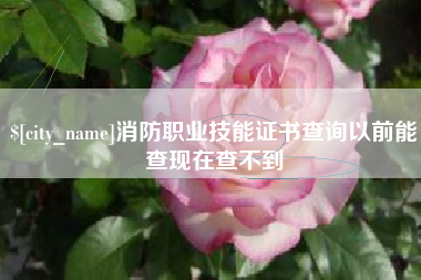 招远消防职业技能证书查询以前能查现在查不到