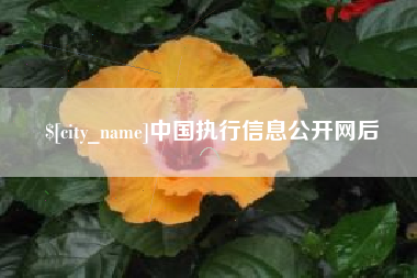 招远中国执行信息公开网后