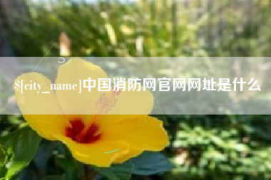 招远中国消防网官网网址是什么
