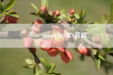 招远2021年9宫格