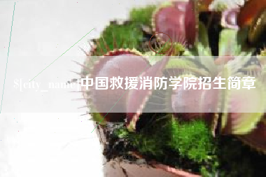 招远中国救援消防学院招生简章