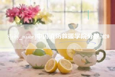 招远中国消防救援学院分数2020
