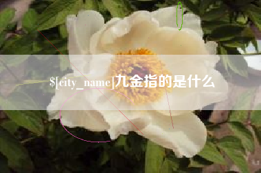 招远九金指的是什么