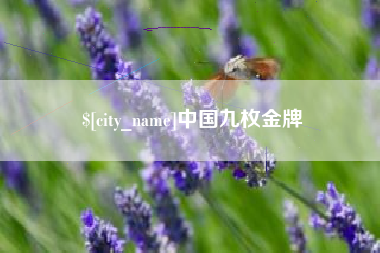 招远中国九枚金牌
