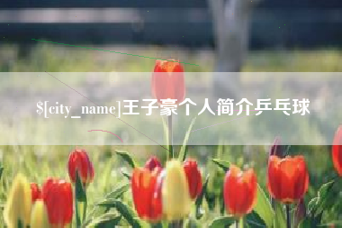 招远王子豪个人简介乒乓球