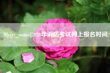 招远2020年消防考试网上报名时间