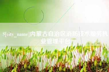 招远内蒙古自治区消防技术服务执业管理平台