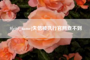 招远失信被执行官网查不到