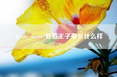 招远看看王子豪长什么样