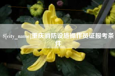 招远重庆消防设施操作员证报考条件