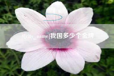 招远我国多少个金牌
